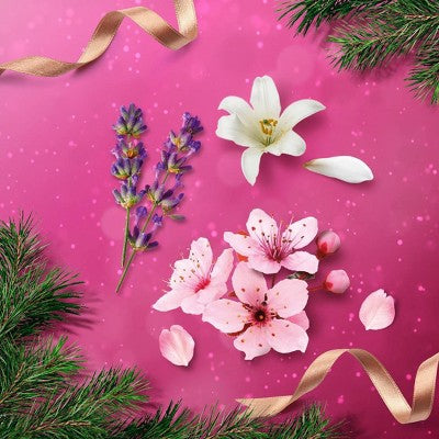 Beloved Hand Lotion Variety Gift Set 3ct - New