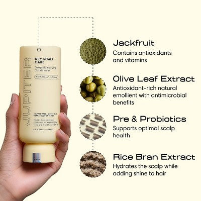 Jupiter Dry Scalp Care Deep Moisturizing Conditioner 8.5 fl oz - Imperfect Container