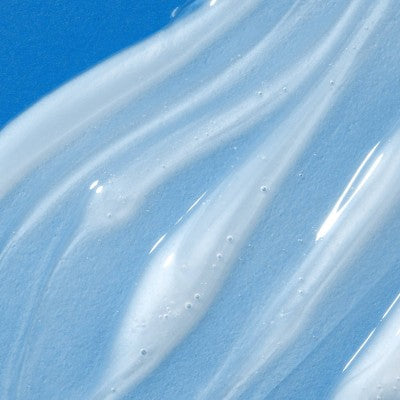 Saltair Volume Boost Thickening Shampoo 14 fl oz - Imperfect Container