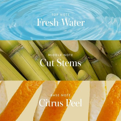 Athena Club All Over Solid Deodorant Sea Splash 3oz - Imperfect Container