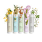 Paul Mitchell Clean Beauty Anti-Frizz Shampoo 8.5 fl oz - Imperfect Container