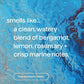 Method Foaming Hand Soap Refill - Sea Minerals - 28 fl oz