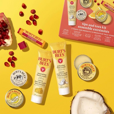 Burt's Bees Tips and Toes Kit 6ct - New