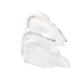 Neutrogena Hydro Boost Hyaluronic Acid Night Pressed Face Serum 1.7oz - Imperfect Box