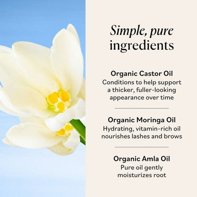 Sky Organics Organic Castor Lash & Brow Oil 0.4 fl oz - Missing Box