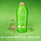 OGX Rosemary Mint Extra Strength Hair Shampoo 25.4 fl oz - Imperfect Container