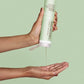 Paul Mitchell Clean Beauty Anti-Frizz Shampoo 8.5 fl oz - Imperfect Container