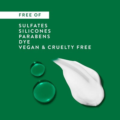 Native Eucalyptus & Mint Scalp Refreshing 2-in-1  16.5 fl oz - Imperfect Container