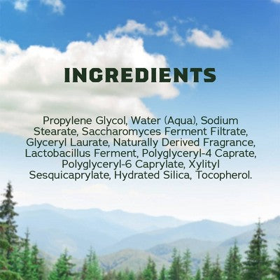 DR. SQUATCH Men's Invisible Glide Deodorant Natural Fresh Falls 2.65oz - Imperfect Container