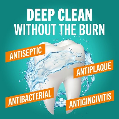 TheraBreath Deep Clean Mouthwash Fresh Mint 16 fl oz - New