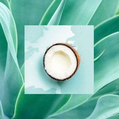 Raw Sugar Multi-Miracle Leave-in Heat Protectant & Conditioner Coconut Milk and Blue Agave 6 fl oz - Imperfect Container