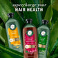 Herbal Essences Grape Seed Shampoo Color Protection and Hair Nourishment 13.5 fl oz - Imperfect Container