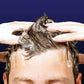 Suave Men Professionals 3 in 1 Shampoo + Conditioner + Body Wash, Citrus Rush 28 fl oz - New