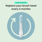 quip Whitening Toothbrush Head Refill 2pk - Imperfect Box
