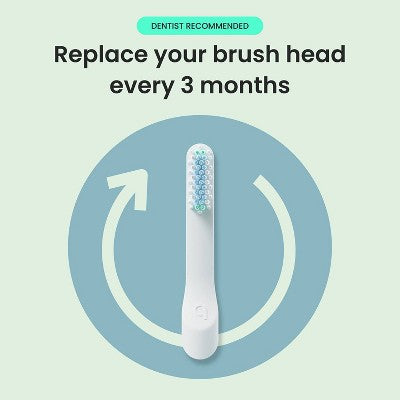quip Whitening Toothbrush Head Refill 2pk - Imperfect Box
