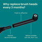 quip Rev Oscillating Brush Head Refill White 2pk - Imperfect Box