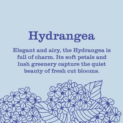 Mrs. Meyer's Clean Day Liquid Hand Soap Hydrangea 12.5 fl oz - New