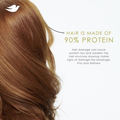 Dove Beauty Intensive Repair Hair Shampoo Pump with Glutamic Amino Serum & Bio-Protein Care 28 fl oz - Imperfect Container