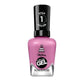 Sally Hansen Miracle Gel Nail Polish 530 0.5 fl oz - New