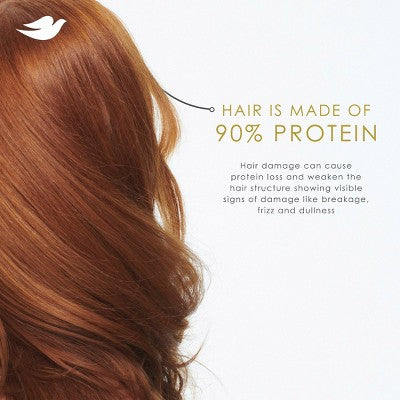 Dove Beauty Daily Moisture Hair Shampoo with Hyaluronic Serum & Bio-Protein Care 28 fl oz - Imperfect Container