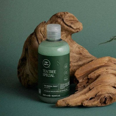 Tea Tree Special Shampoo 10.14 fl oz - Imperfect Container