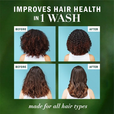 Herbal Essences Pure Plants Blend Argan Oil Repairing Color-Safe Shampoo/Conditioner Dual Pack 13.5 fl oz/2ct - Imperfect Box