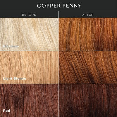 Kristin Ess Hair Gloss in Copper Penny for Red or Auburn Hair Semi Permanent Dye + Toner 4 fl oz - Imperfect Box