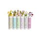 Paul Mitchell Clean Beauty Anti-Frizz Shampoo 8.5 fl oz - Imperfect Container