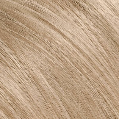 L'Oreal Paris Excellence Triple Protection Permanent Hair Color 6.3 fl oz 8.5A Champagne Blonde 1 Kit - Imperfect Box