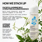Pacifica Jasmine Milk Hydrating Glazing Essence 5 fl oz -Imperfect Container