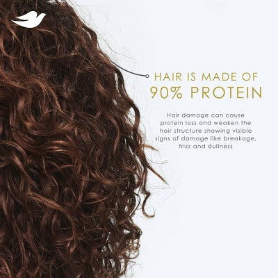 Dove Beauty Dermacare Anti-Dandruff Conditioner - 12 fl oz