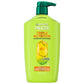 Garnier Fructis Active Fruit Protein Triple Nutrition Fortifying Conditioner 33.8 fl oz - Imperfect Container