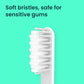 quip Sonic Brush Head Refill 4pk - Imperfect Box