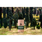 DR. SQUATCH Men's Natural Solid Deodorant Pine Tar 2.65oz - Imperfect Container