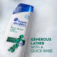 Head & Shoulders Dandruff Shampoo Anti-Dandruff Treatment Itchy Scalp Care 20.7 fl oz - New