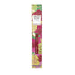 Winky Lux pH Gloss Raspberry 0.14oz - Imperfect Box
