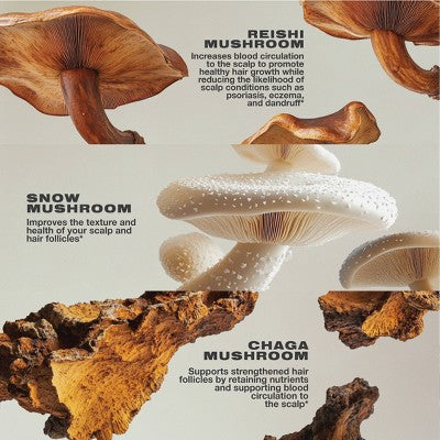 Imarais Beauty Nourish Haircare Gummies Vegan and Sugar-Free 30ct - Imperfect Container