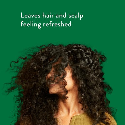 Native Eucalyptus & Mint Scalp Refreshing 2-in-1  16.5 fl oz - Imperfect Container