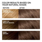L'Oreal Paris Feria Multi-Faceted Shimmering Color 6.3 fl oz - Imperfect Box