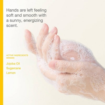 Raw Sugar Simply Hand Wash - Lemon Sugar - 16.9 fl oz