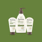 Aveeno Daily Moisturizing Face Cleanser with Soothing Oat Refill Pouch 12 fl oz - New