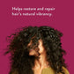Native Blackberry; Green Tea Strengthening Hair Conditioner 16.5 fl oz - Imperfect Container