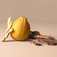 Being Frenshe Glow On Roll-On Fragrance with Essential Oils Earthy Bergamot Cedar 0.84 fl oz - Imperfect Container