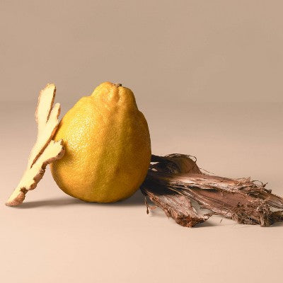 Being Frenshe Glow On Roll-On Fragrance with Essential Oils Earthy Bergamot Cedar 0.84 fl oz - Imperfect Container