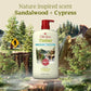 Old Spice Men's Body Wash Timber with Sandalwood 30 fl oz - Imperfect Container