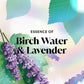 Olay Fresh Outlast Body Wash Birch Water & Lavender 33 fl oz - New