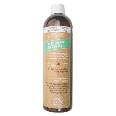 Dr. Ginger's Coconut Mint Mouthwash 14 fl oz - Imperfect Container