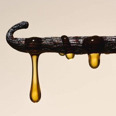 Saltair Nourishing Body Oil for Dewy and Glowing Skin Salt Water Vanilla 4 fl oz - New