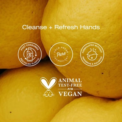 Raw Sugar Simply Hand Wash - Lemon Sugar - 16.9 fl oz